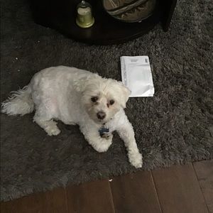 Meet your Posher, Diane